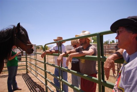 Volunteers admiring Lokie after grooming
