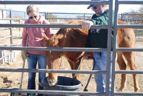 Rosie enjoying some attention